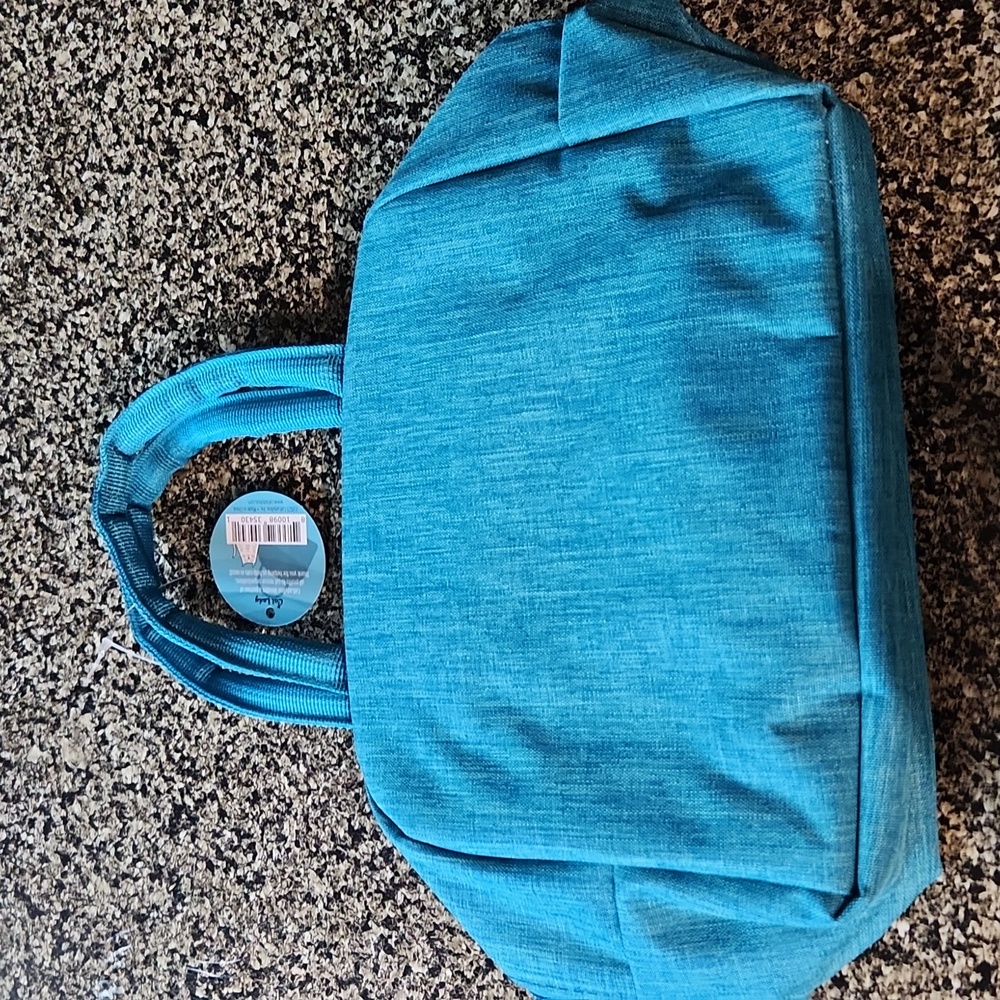 NWT Cat Lady Box Insulated lunch tote Teal - Picture 3 of 9